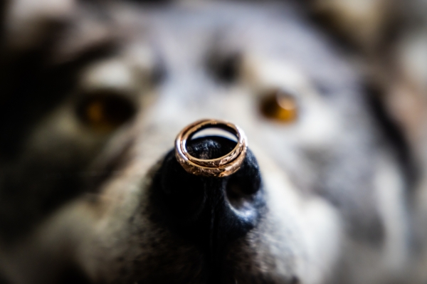 Pulmafoto – Rait Tõnnori pulmafotograaf